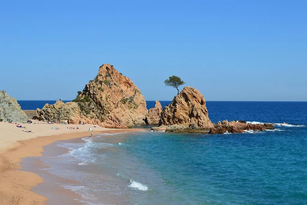 Blanca Paloma - Holiday House Villa Tossa de Mar 0*,  Spain
